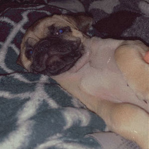 Meet your Posher, Jacky